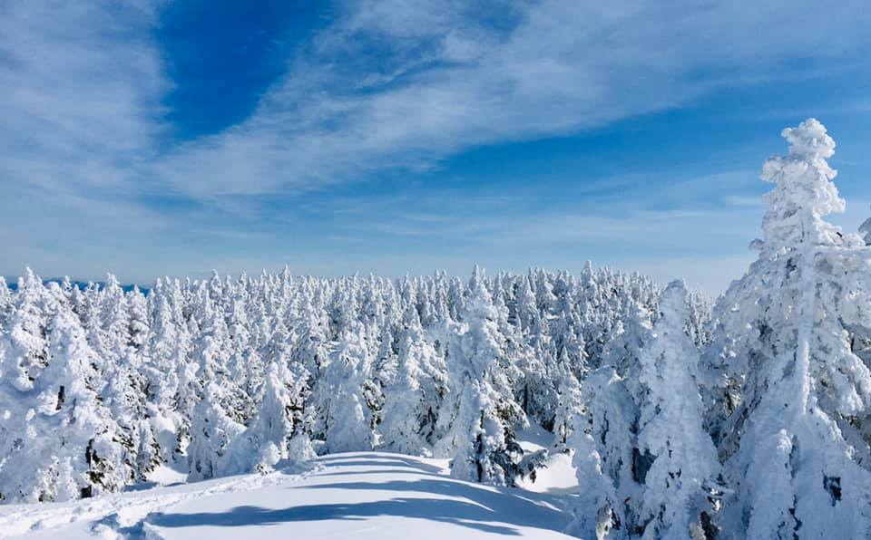 天然雪のメッカ！最高地点の志賀高原スキー場で滑り放題と日帰り入浴