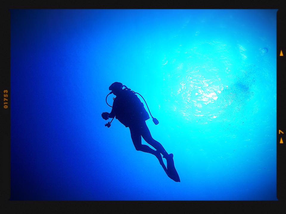 沖縄石垣島でダイビング体験！初心者でもマンタやウミガメに出会えるかも！