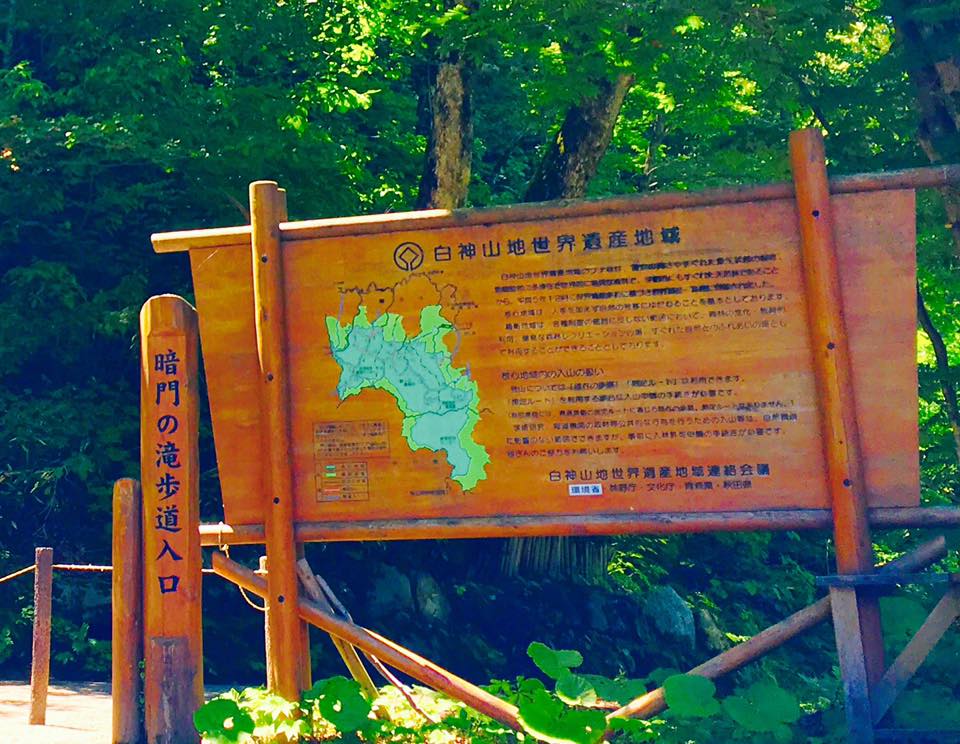 世界自然遺産白神山地！日本の滝１００選くろくまの滝や十二湖を巡る